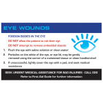 Eye Injury First Aid Instruction Card